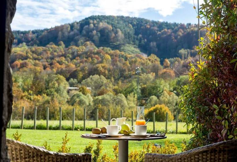 هتل Les Planes Del Grau