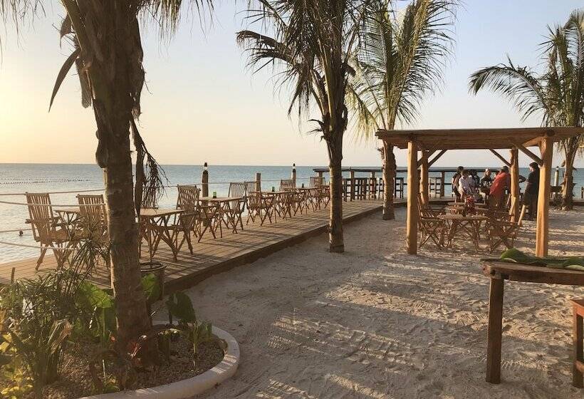 ホテル Maisha Nungwi