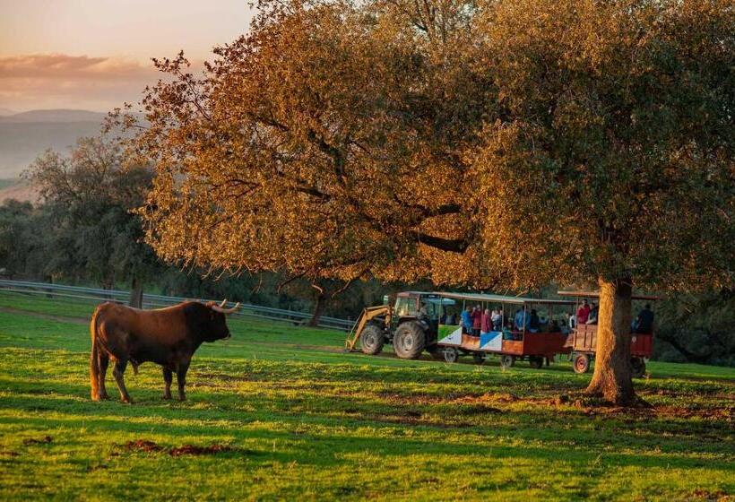 בית מלון כפרי Finca El Cotillo