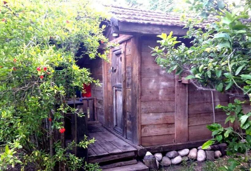 هتل Hanei Keyif Pension