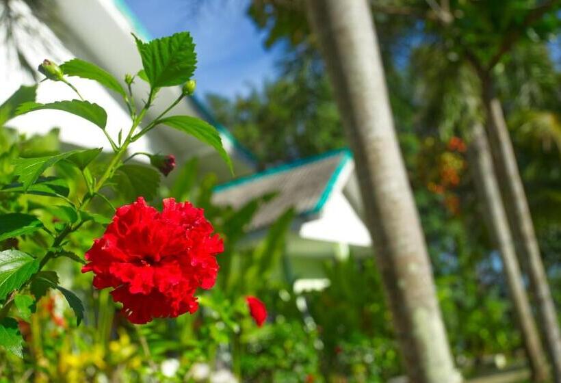 هتل Sea View Resort