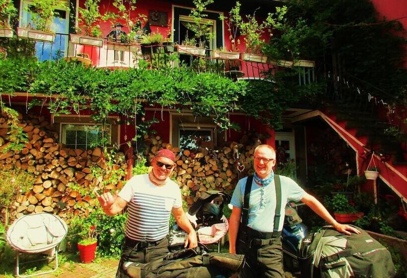 Tilly S B&b