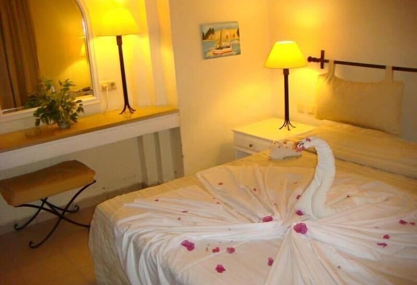 Отель Flamingo Beach