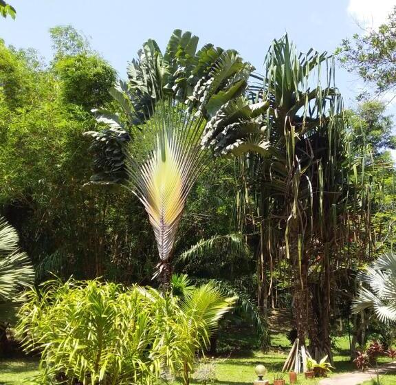 酒店 Beautiful Flower Resort