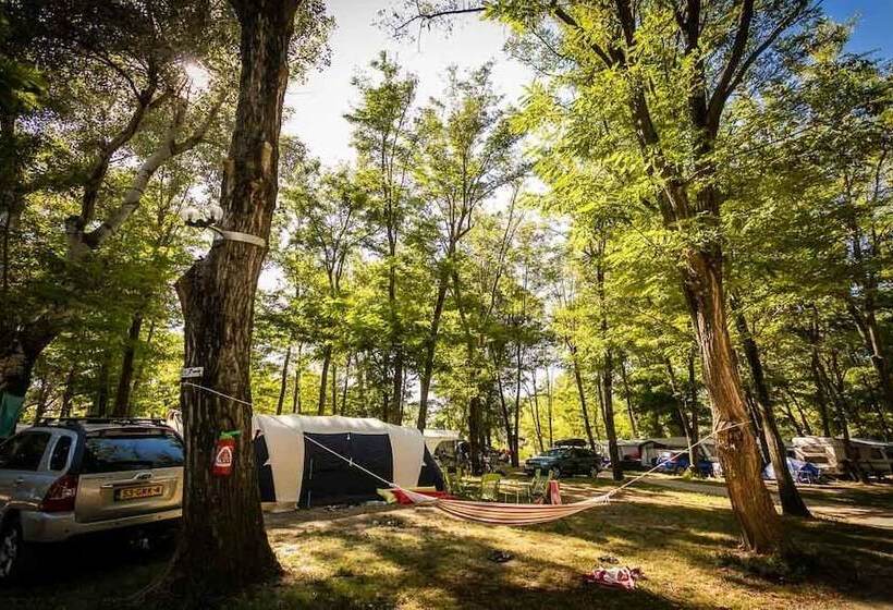 ホテル Camping Les Genêts D Or