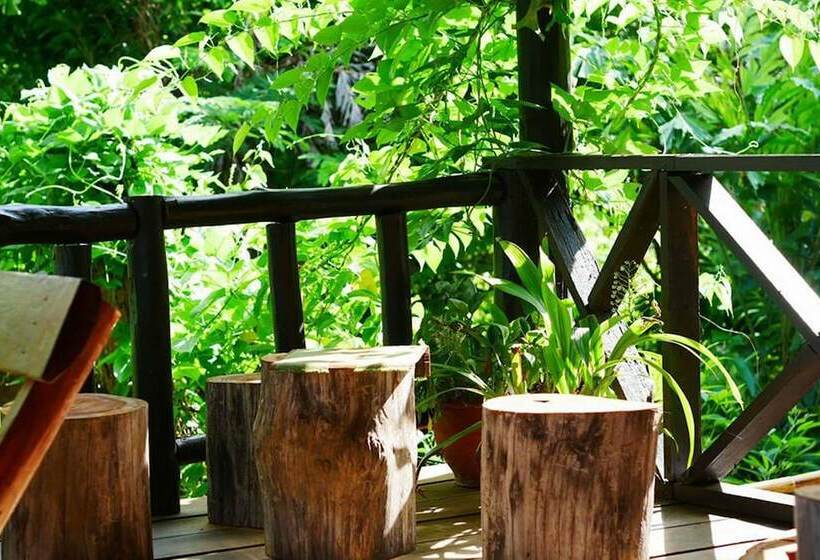پانسیون The Local Story Home Stay 1