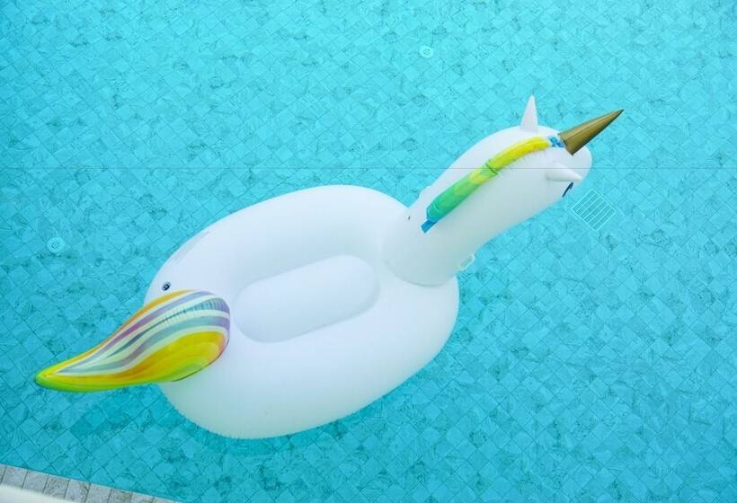 Macasa