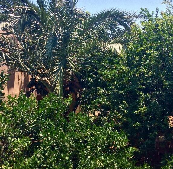 Palm Konak
