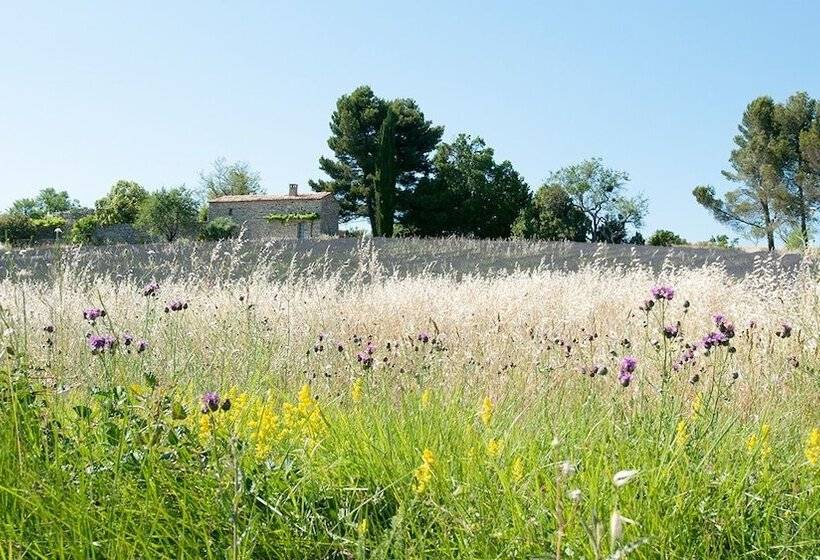 بنسيون La Bastide De Voulonne