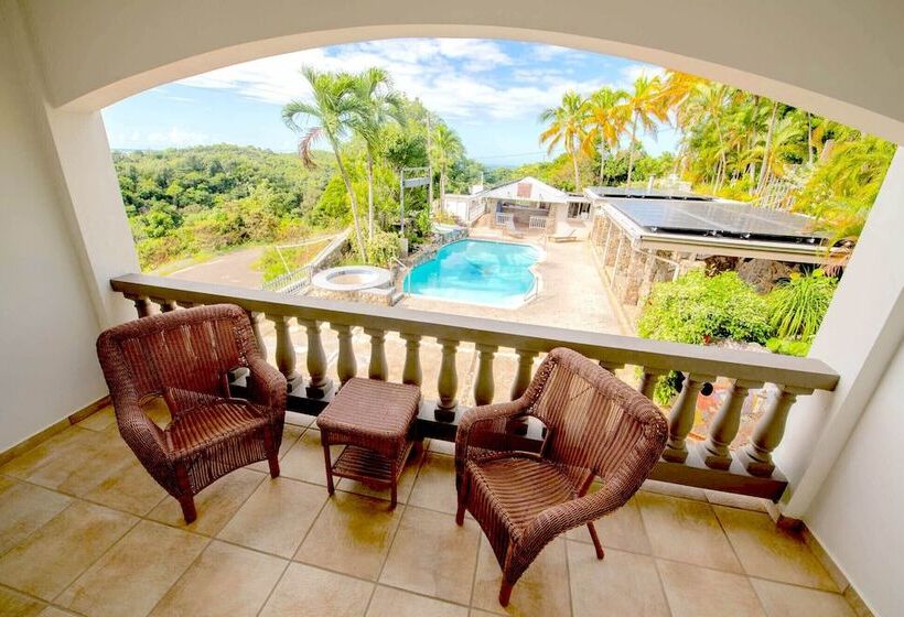 هتل Lazy Parrot Inn