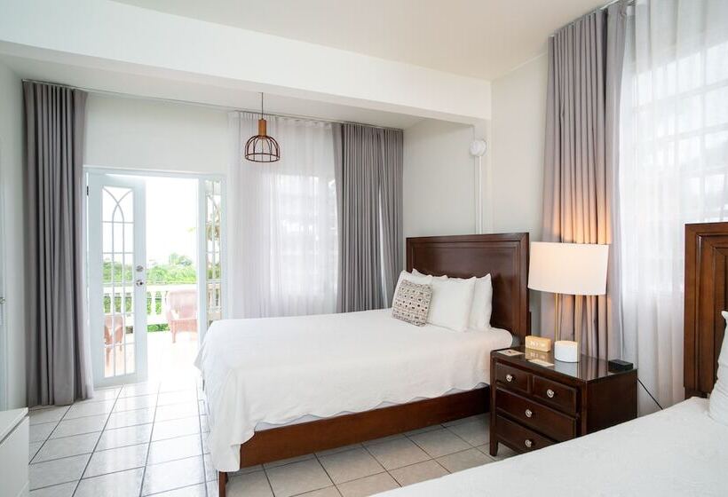 هتل Lazy Parrot Inn