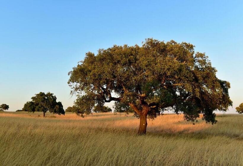 هتل Pousada Convento De Beja