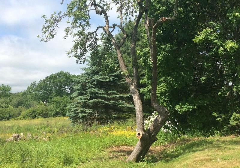 مبيت وإفطار The Nightfall Inn