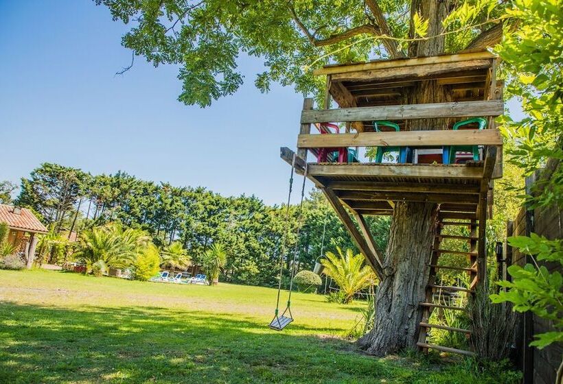 펜션 Hacienda Messanges