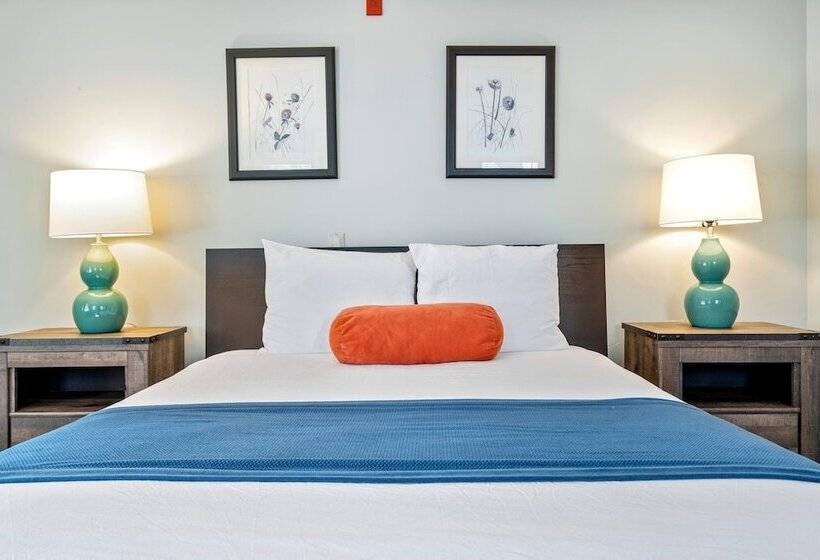 فندق The Lighthouse Inn & Suites