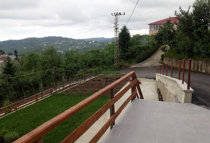 Akulnet 1