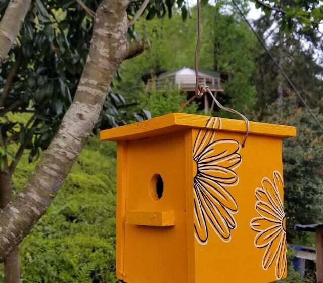 هتل Olimbera Köy Evi