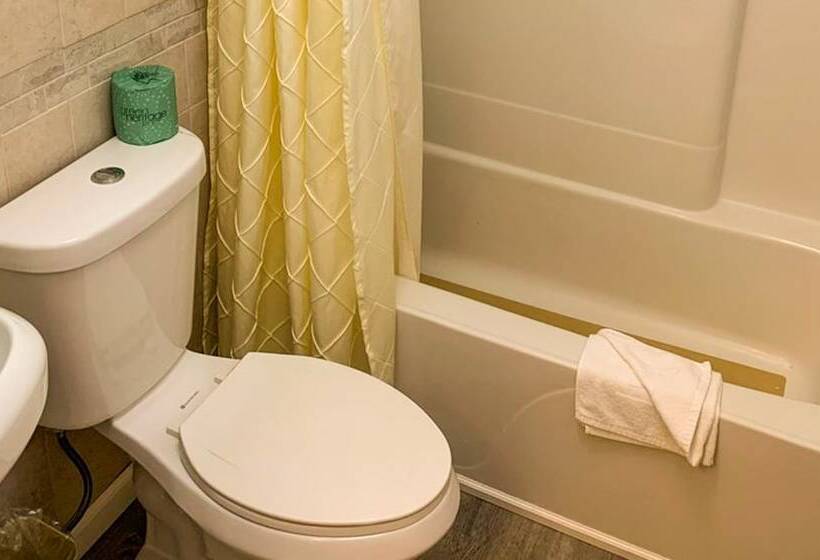 مُتل Hampton Motor Inn
