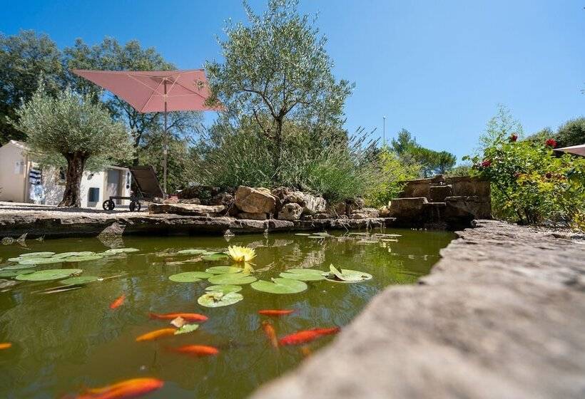住宿加早餐  Mas La Chêneraie Lourmarin   Au Calme, à 10 Mn Du Centre Ville à Pied