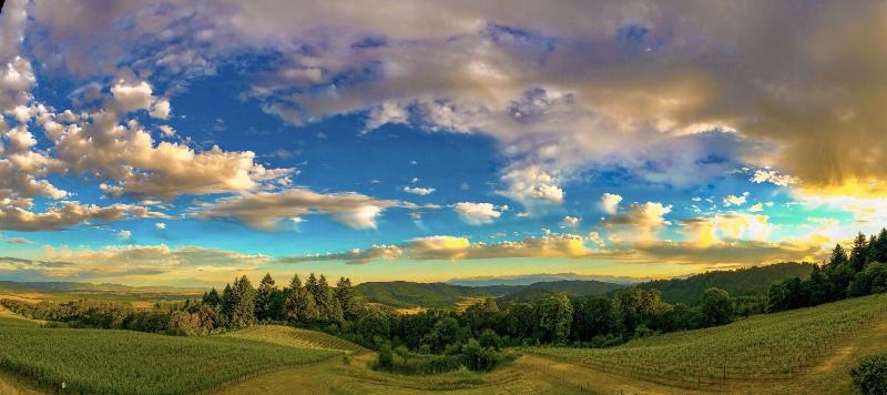 민박 Youngberg Hill