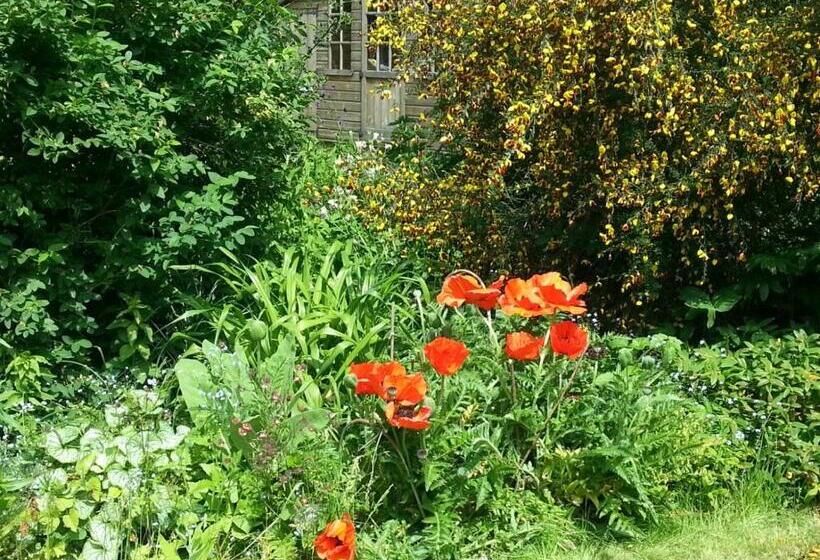 Field View B&b