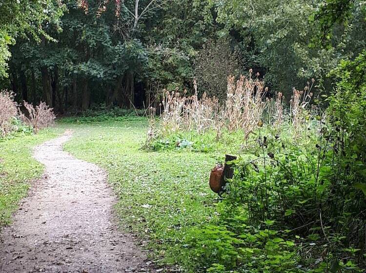Field View B&b