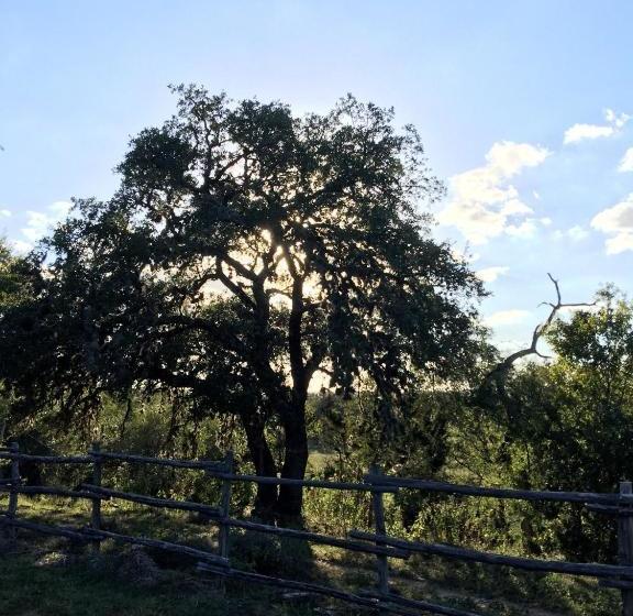 교외 호텔 Twin Elm Guest Ranch