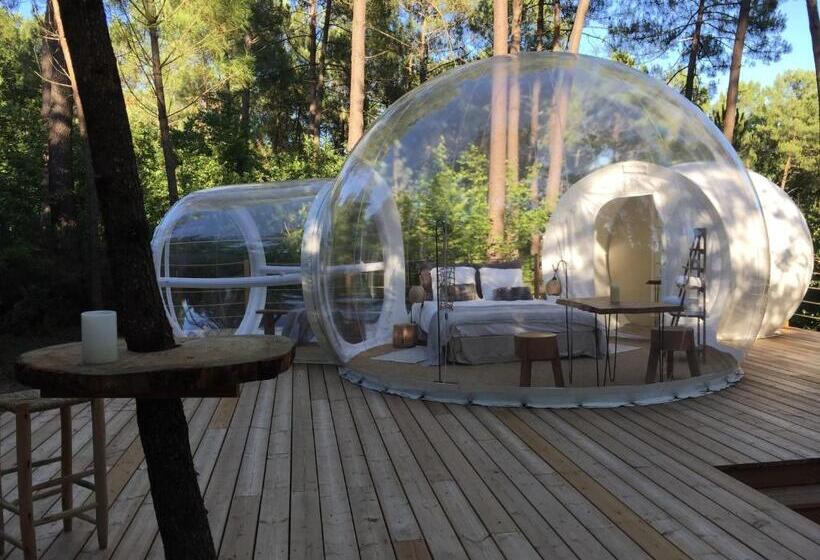 مبيت وإفطار Les Bulles De Bordeaux