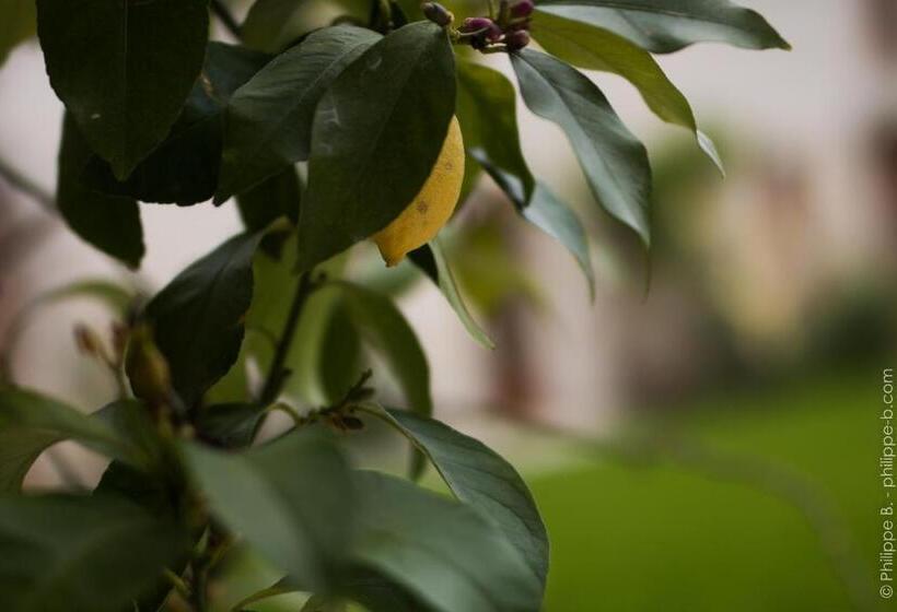 פנסיון Les Hauts De Chalonne