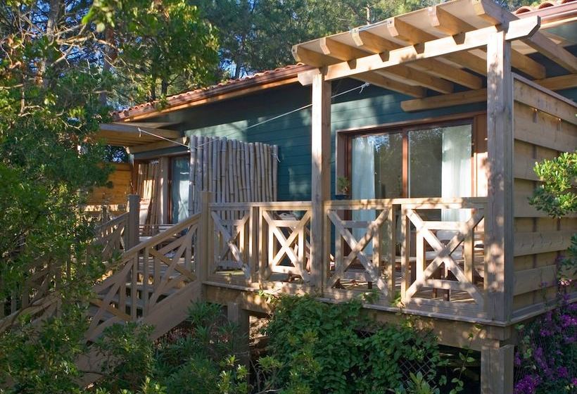 بنسيون Yamina Lodge