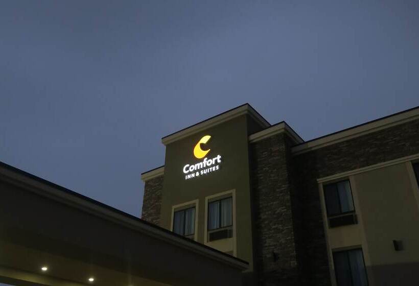 هتل Comfort Inn & Suites Cedar Rapids Cid Eastern Iowa Airport