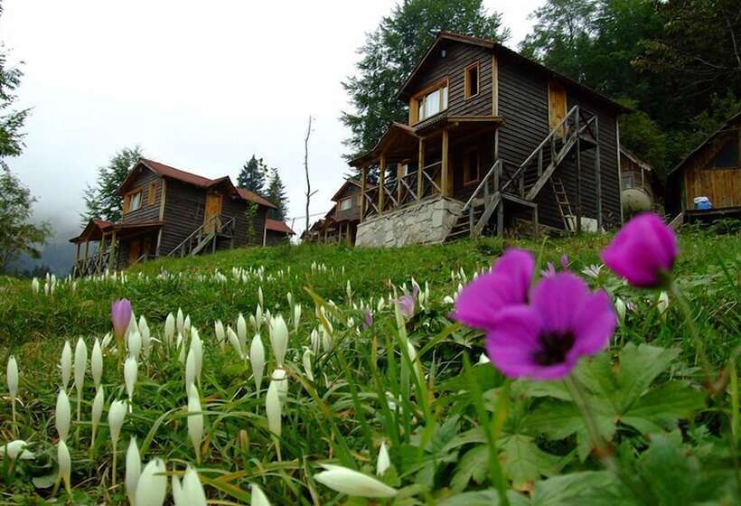 فندق Hamsiköy Zitaş Bungalov & Restoran