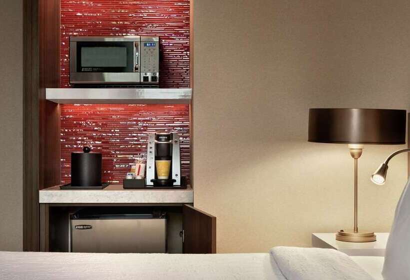 בית מלון כפרי Hilton Garden Inn Chicago Downtown South Loop