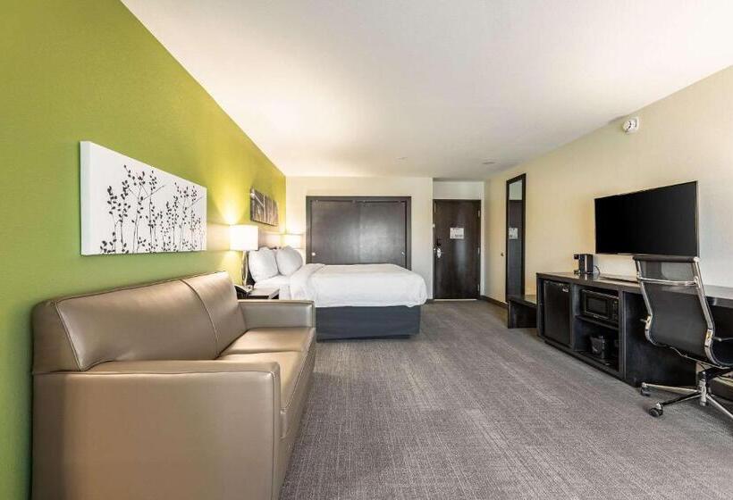 בית מלון כפרי Sleep Inn & Suites Mt. Hope Near Auction & Event Center