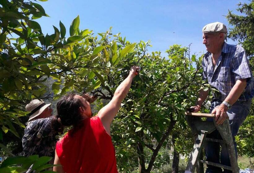 La Maison De Noélie  1er étage