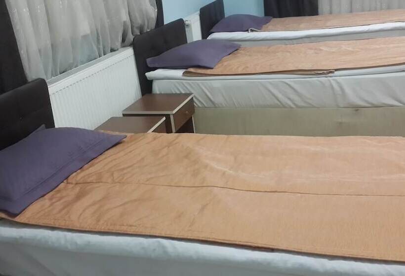 בית מלון כפרי Esin Pansiyon