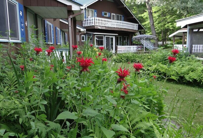 צימר Blue Gentian Lodge At Magic Mountain