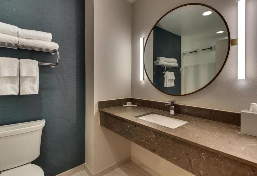 هتل Fairfield Inn & Suites By Marriott Birmingham Downtown