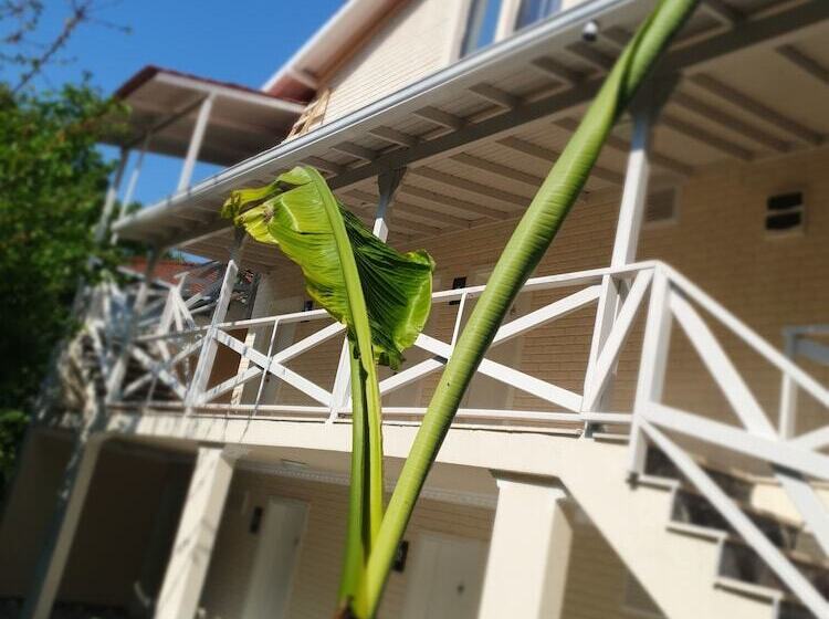 호텔 Kadifeli Konak Boutique