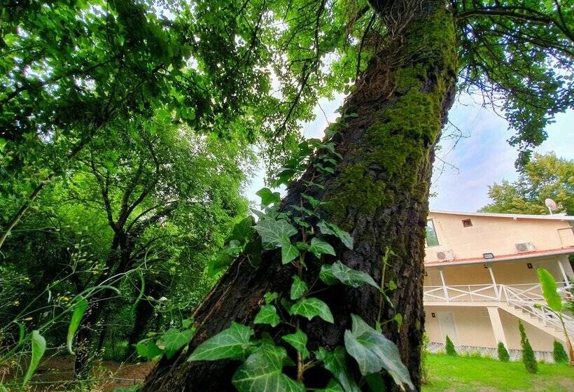 호텔 Kadifeli Konak Boutique