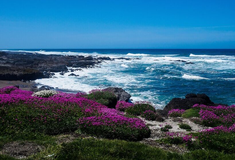 호텔 Overleaf Lodge And Spa