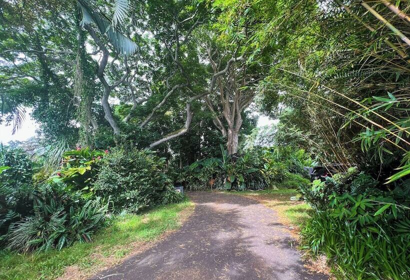 בית מלון כפרי Gingerhill Farm Retreat