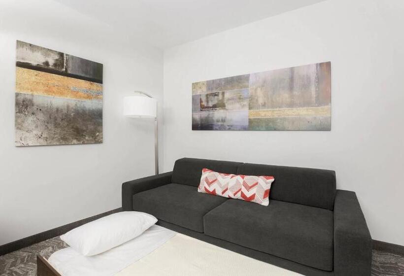 ホテル Springhill Suites By Marriott Auburn