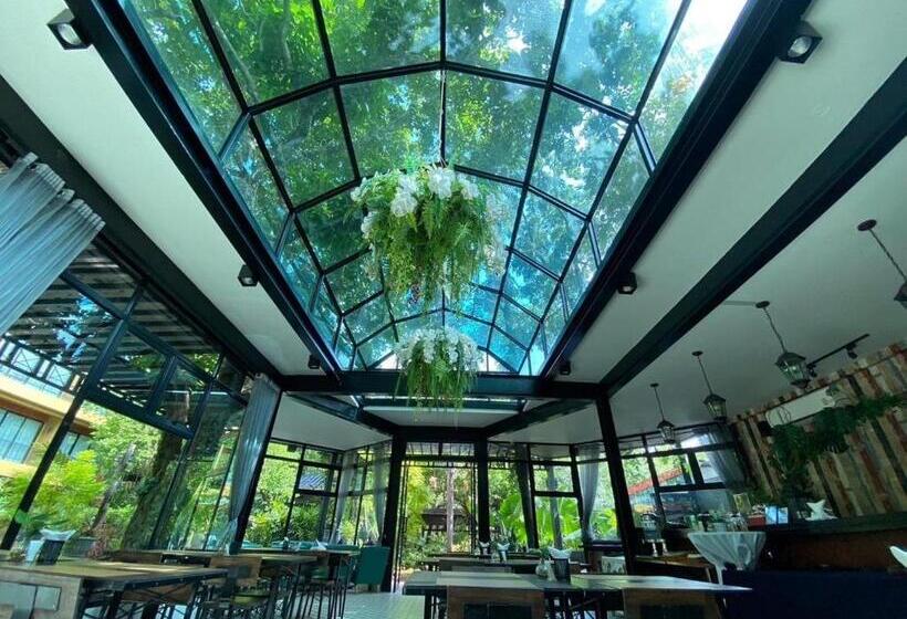 T Rex Buriram Boutique Hotel New Hotel In Buriram