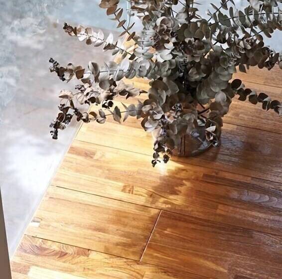 تختخواب و صبحانه Kids Taomi