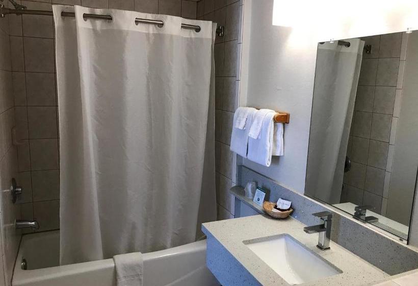 فندق على الطريق Manhattan Inn & Suites