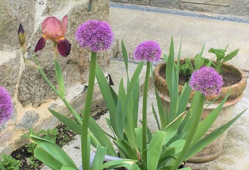 مبيت وإفطار Little Pengelly Farm