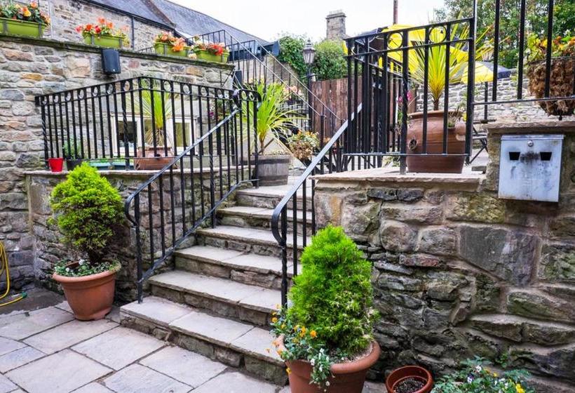 فندق فئة نجمة واحدة The Golden Lion