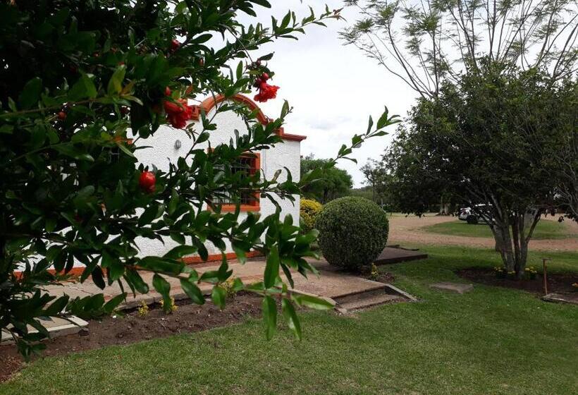 هتل Village Termas Del Dayman