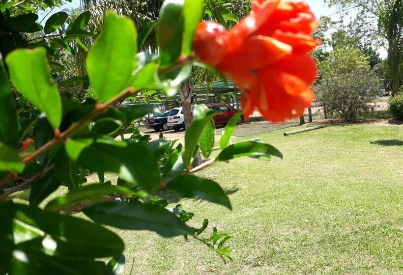 هتل Village Termas Del Dayman